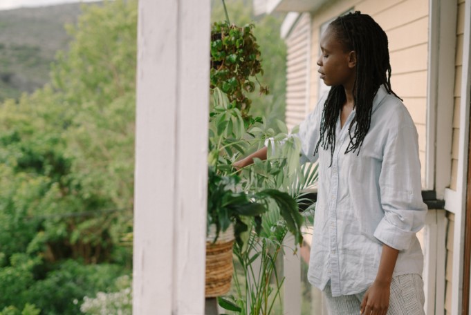 Растения в офисе для повышения продуктивности Растения в офисе для повышения продуктивности